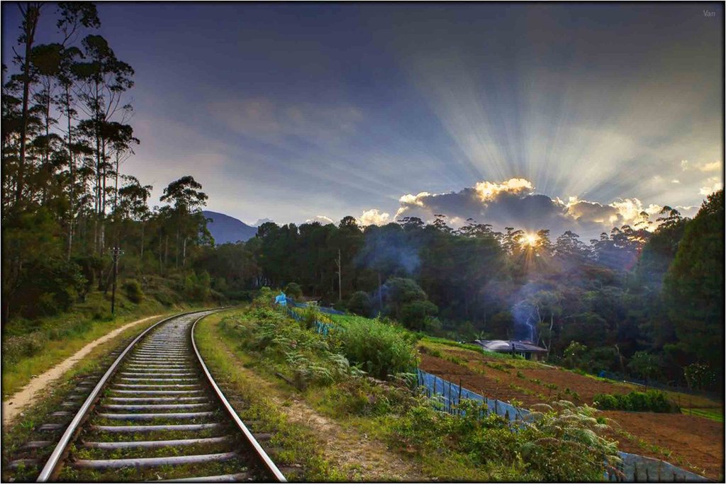 Horton Plains National Park