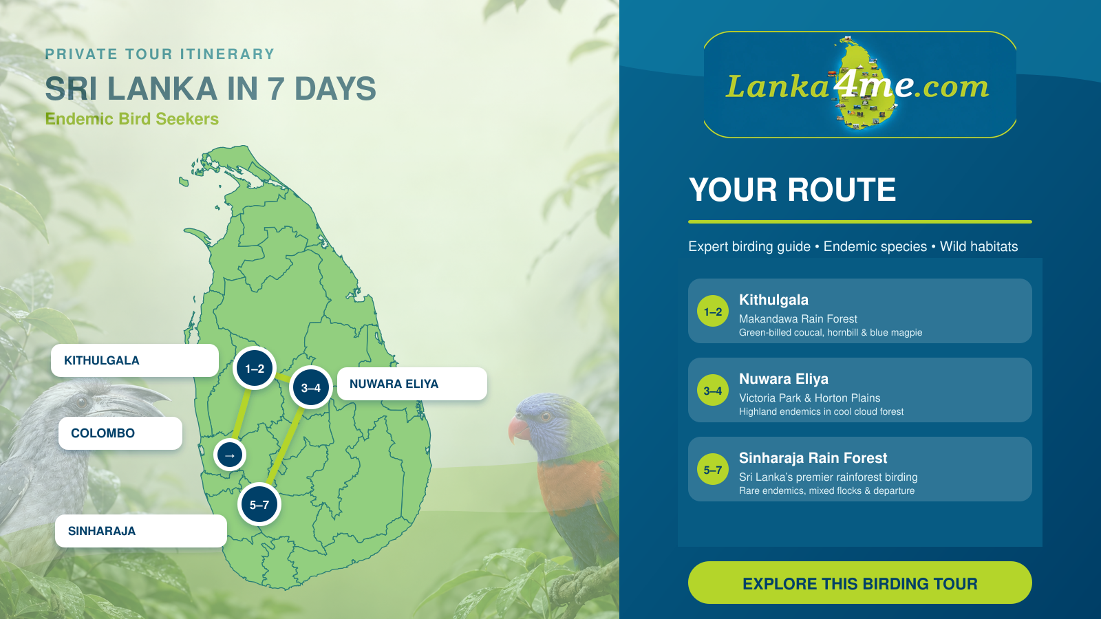 7 days sri lanka Endemic Bird Seekers