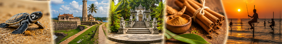 bentota private local tour guide