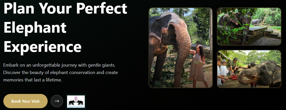 Millennium Elephant Foundation