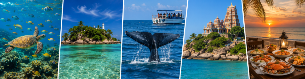 nilaveli west coast sri lanka private tours