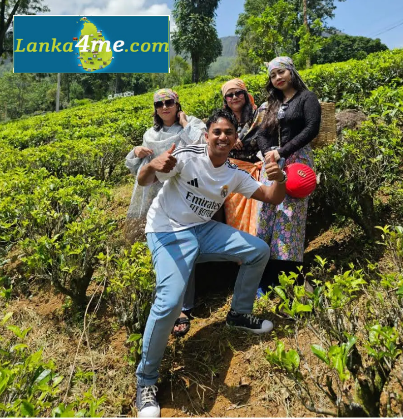 our private tour guides sri lanka