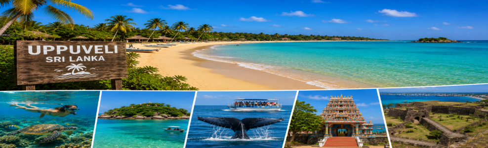 uppuveli trincomalee sri lanka east coast